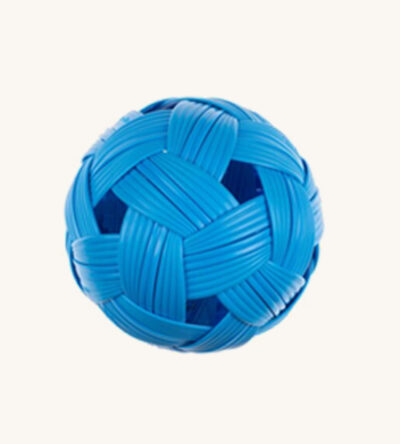 Blue ball for dog